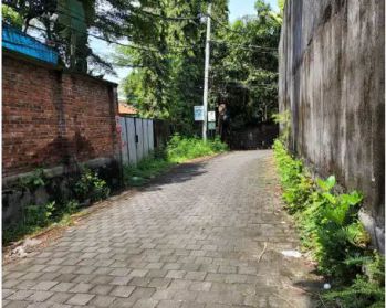 Tanah Murah 12 Are di Berawa Canggu