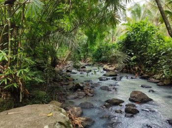 Tanah murah dengan sungai di tabanan bali