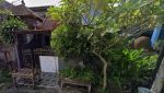 thumbnail-lelang-rumah-1-lantai-jl-gong-suling-kuta-selatan-badung-bali-3