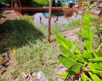 TANAH MURAH 300m2 ASET/INVESTASI AREA ILIR BARAT I BUKIT LAMA