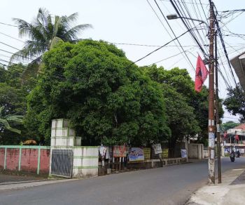 Tanah Kavling Dijual Super Murah Pinggir Jalan Di Cireundeu