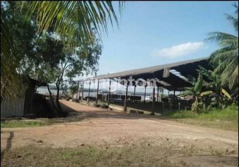 Di Tanah Pinggir Sungai Mahakam. sangat cocok untuk sandaran kapal. Tanah ukuran