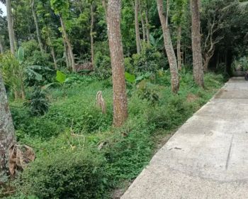 LUAS TANAH 1245M2 DS GEMAWANG BERGAS KAB SMG