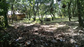 Jual tanah kebun 2.900 Meter persegi