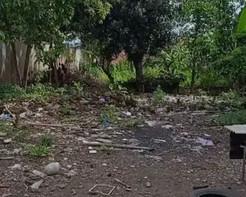 Sell Tanah: Disewakan tanah