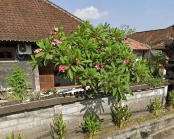 Tanah 4,65 are FREE RUMAH, Jl. Raya Gelogor Carik Pemogan Denpasar
