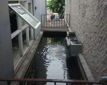 Disewakan Rumah Ada Kolam Renang di Jatinegara Jakarta Timur
