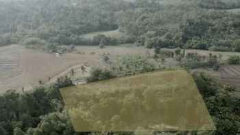 Tanah loss sungai dan Pantai di Klecung Tabanan