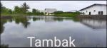 thumbnail-gudang-ekspabrik-seafoodlt3438234-hektare-shm-takalar-sulsel-2