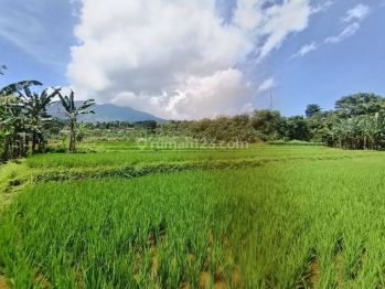 Tanah Di Jual Cijeruk View Gunung Saalak