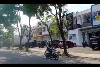 Dikontrakan / disewakan / jual ruko baru renov toko gudang kantor