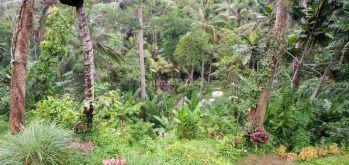Tanah di Lap Lapan Los Sungai Petanu 3 km dari Ubud central