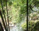thumbnail-tanah-di-lap-lapan-los-sungai-petanu-3-km-dari-ubud-central-2