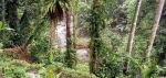 thumbnail-tanah-di-lap-lapan-los-sungai-petanu-3-km-dari-ubud-central-5