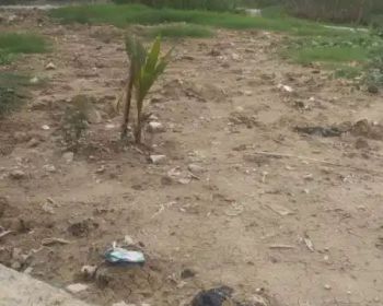 Tanah 216 m,SHM, Lokasi Strategis WA:085283533079