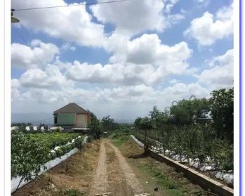 Dijual Tanah Joyoagung Malang Siap Bangun