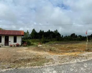 TANAH SHM INTI KOTA 1 HEKTAR dijual