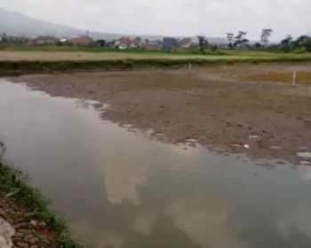 Tanah Dijual di Cibiru Bandung