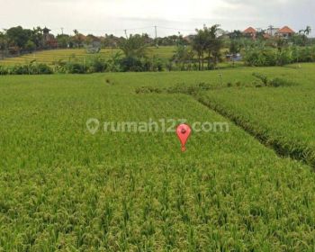 LAND FOR SALE CEMAGI, CLOSE TO VILLA OMBAK