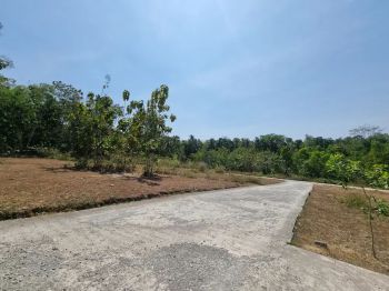 Pas Hunian Kulon Progo Jogja, Tanah Dekat SMP N 1 Panjatan