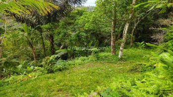Dijual tanah di Tegallalang view lembah, jungle, Gunung Batukaru