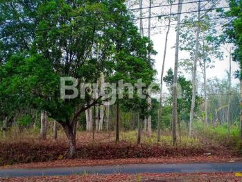 Tanah murah dkt jatim park 2 di bukit panderman hill Batu malang
