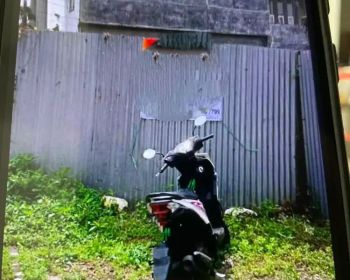 dijual tanah sumber pacar lawang malang