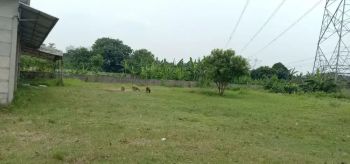 Dijual cepat tanah jl ry Pagedangan BSD