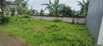 Dijual cepat tanah murah