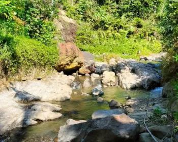 DI JUAL TANAH SAWAH SENTUL