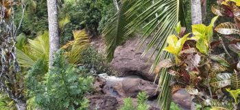 Tanah Sawah Loss Sungai Besar View sawah Terasering, gunung