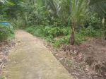 thumbnail-dijual-tanah-sawah-di-lumbungrejo-tempel-sleman-mangku-jalan-cor-3