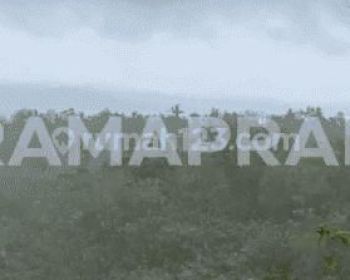 Jual Tanah 550 Are Ped Sental Kangin Nusa Penida Dekat Pelabuhan Buyuk