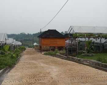 Tanah kavling murah bisa dibangun villa kayu estetik