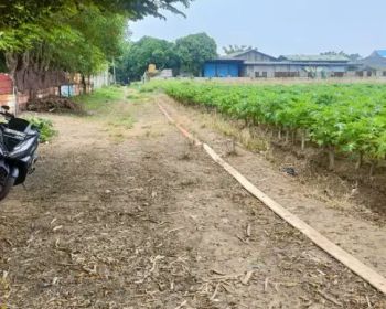 Tanah dijual cepat banyak peminat