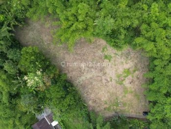 Dijual Tanah Murah Magelang Dekat Pasar Babrik Tempuran