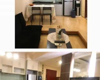 Disewakan Apartemen Sudirman Park