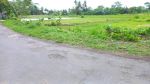 thumbnail-tanah-pekarangan-jogja-dekat-sch-4