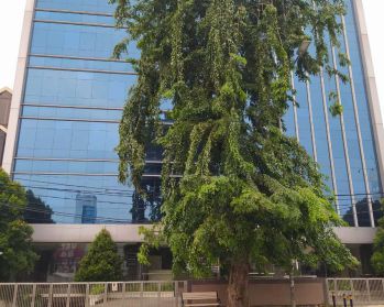 Disewa Gedung Perkantoran di Warung Buncit, Kalibata Jakarta Selatan