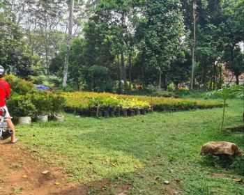 Dijual Cepat Tanah Murah SHM (BU) Dekat BSD Luas 200 m tanpa perantara