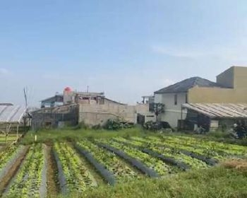 Jual Kavling Siap Bangun Di Sayap Bajuri