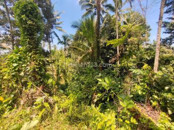 Jual tanah dengan view sawah gunung dan sungai