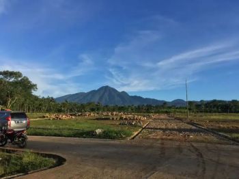 Dijual Kavling Tanah Murah 100m²