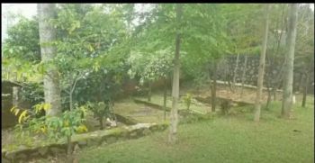 Jual Tanah 2000 Meter Hadap Gunung Pancar Sentul Bonus Guest House