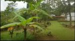 thumbnail-jual-tanah-2000-meter-hadap-gunung-pancar-sentul-bonus-guest-house-3