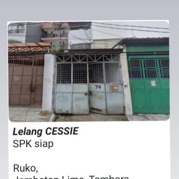 djual melalui mekanisme lelang