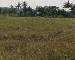 thumbnail-dijual-lahan-sawah-pringapus-2