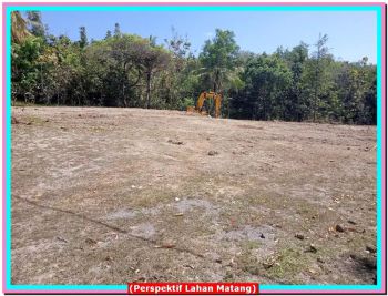 Nempel Jl Aria Putra, Tanah SHM Cuman 600 Juta-an Terima Lahan Matang