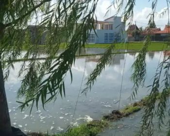 Lahan 9.7are View Sawah arah Pantai di PANTAI LIMA