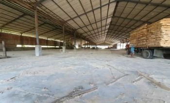 Pabrik Kayu di Gresik